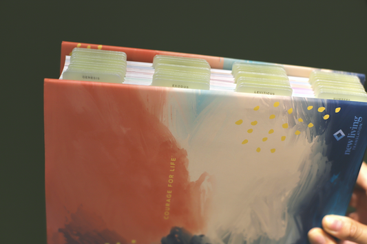 Journaling Bible & Tabs