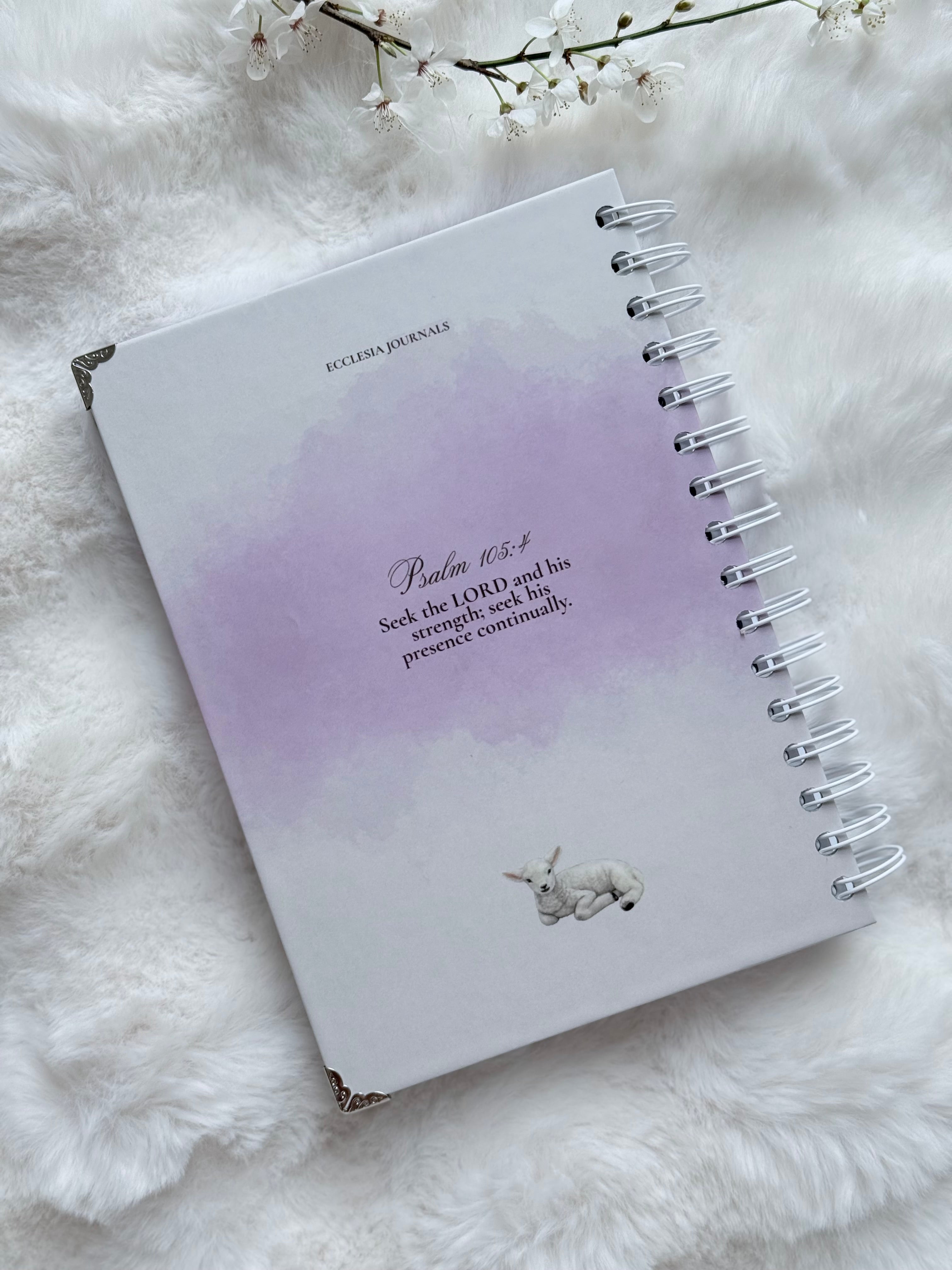Daily Quiet Time - Bible Study Journal