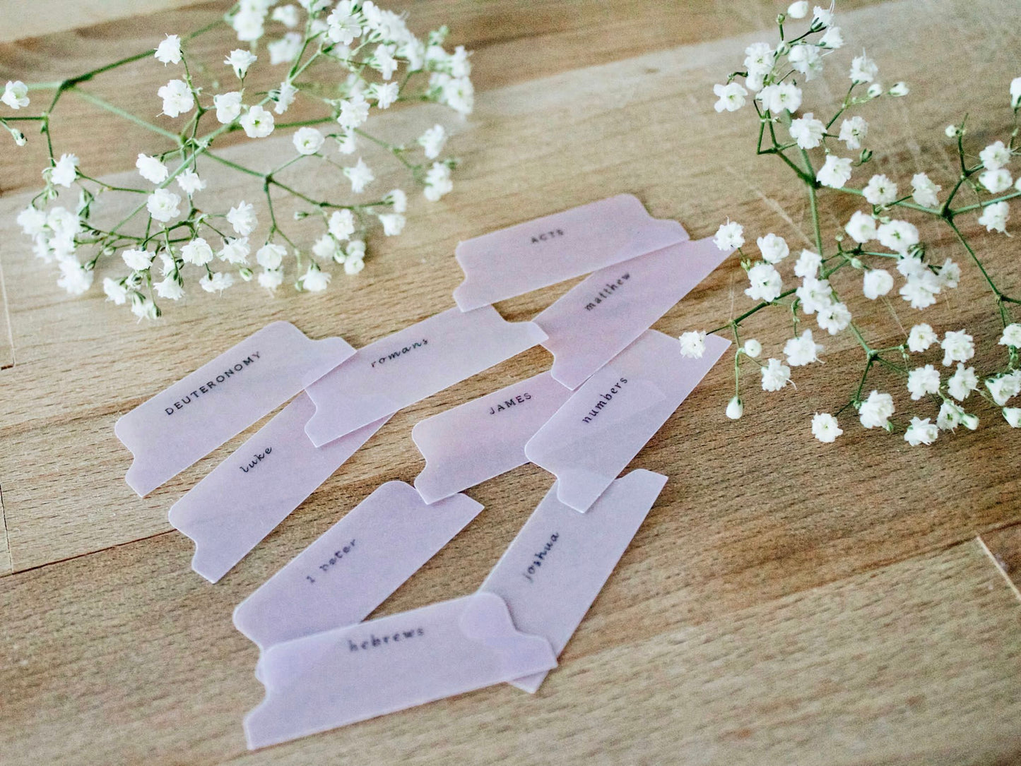 Minimalistic Bible Tabs