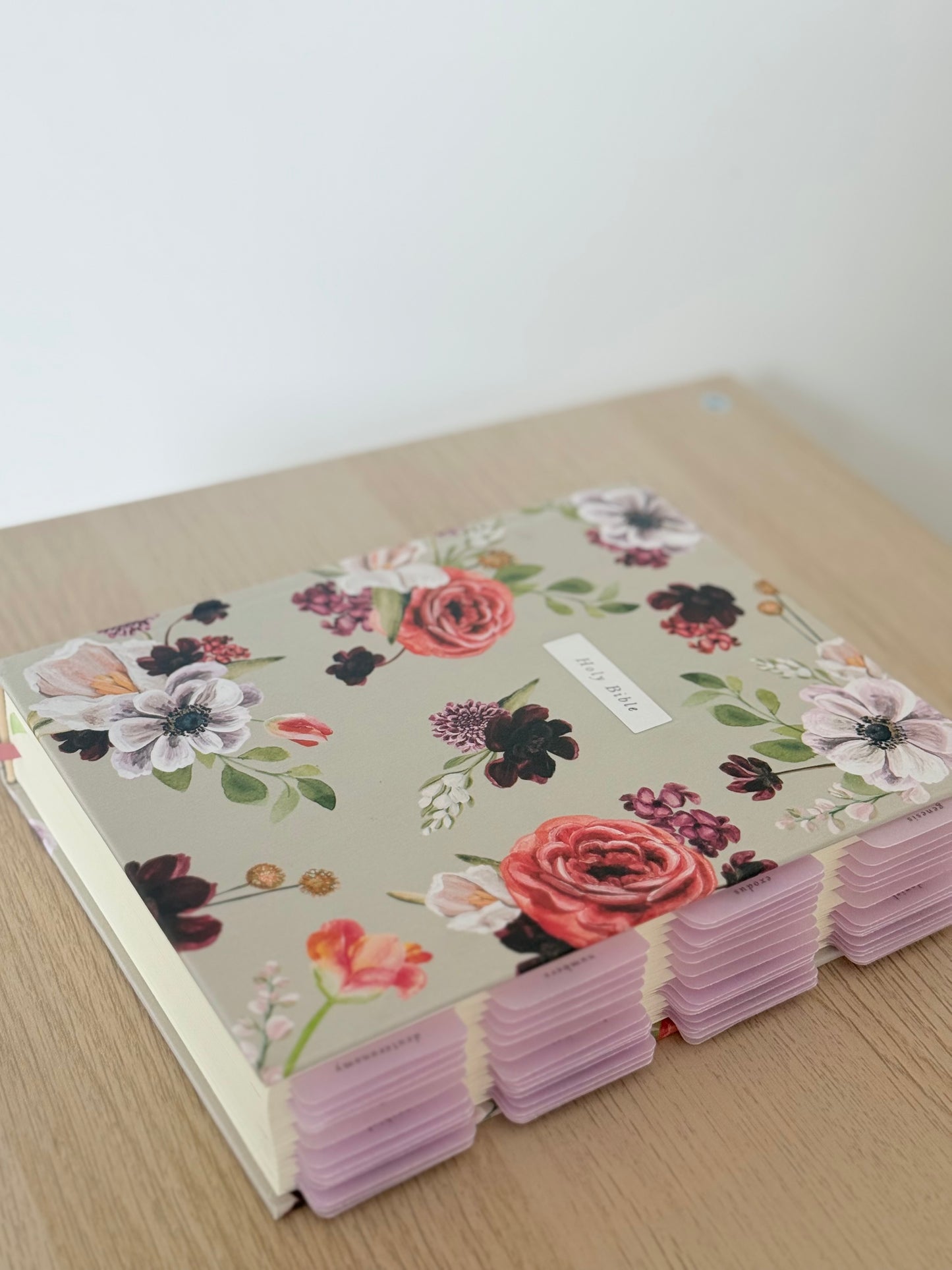 Journaling Bible & Tabs