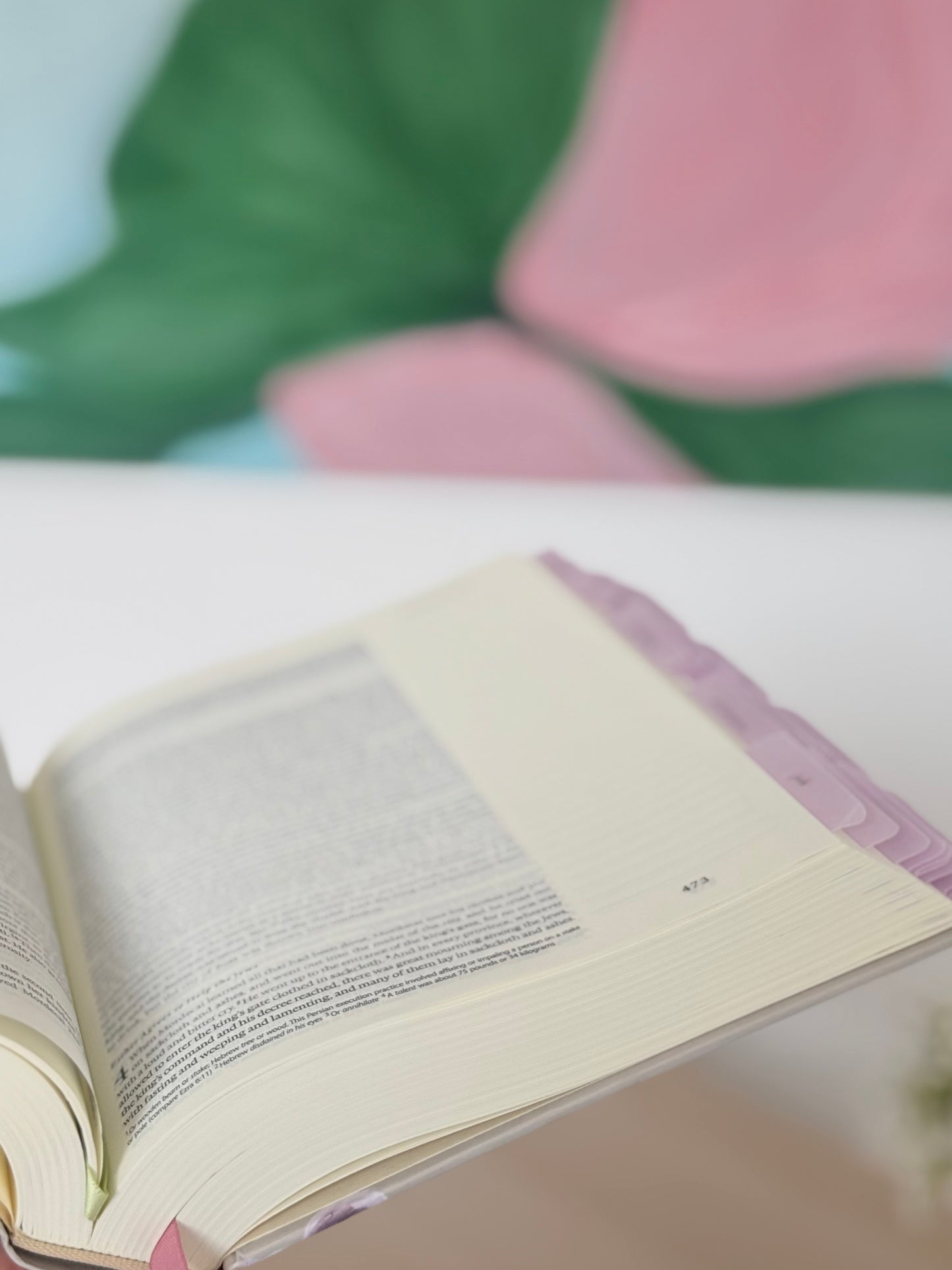 Journaling Bible & Tabs