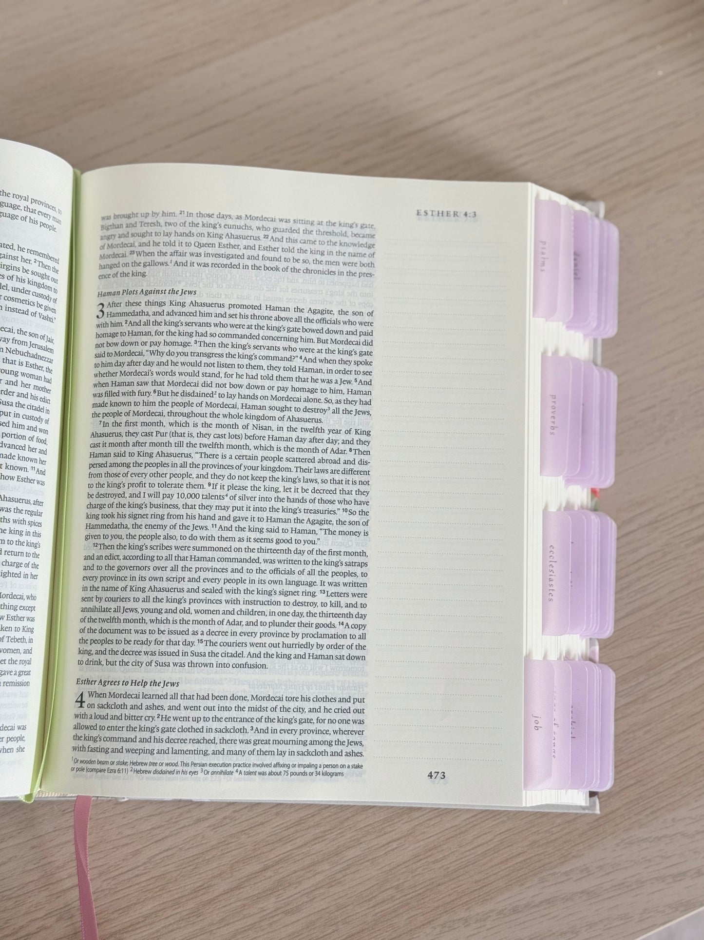 Journaling Bible & Tabs