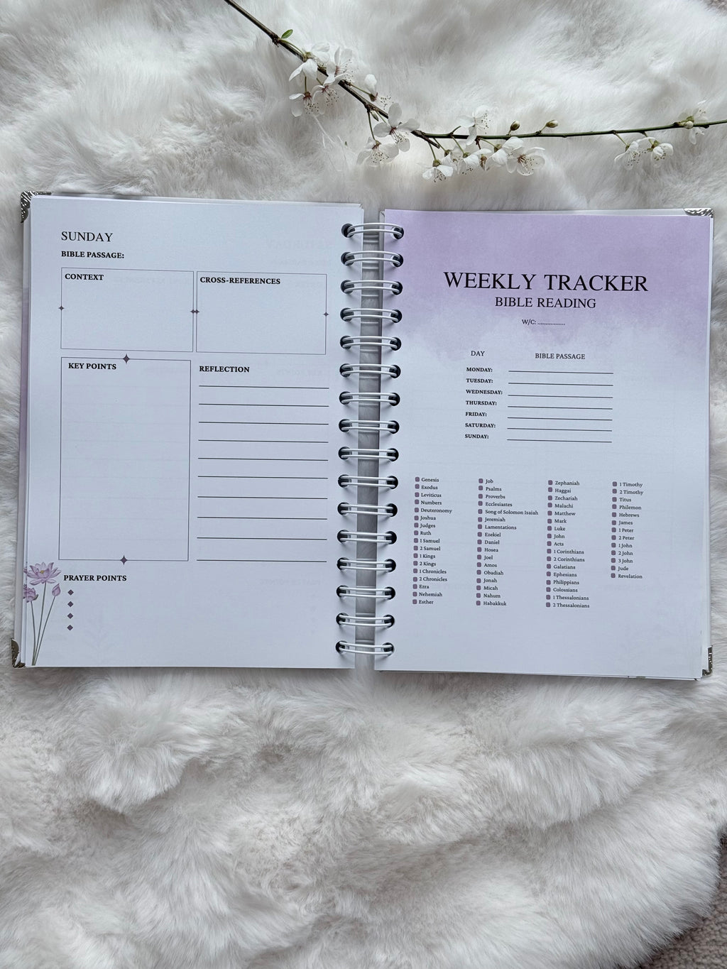 Daily Quiet Time - Bible Study Journal