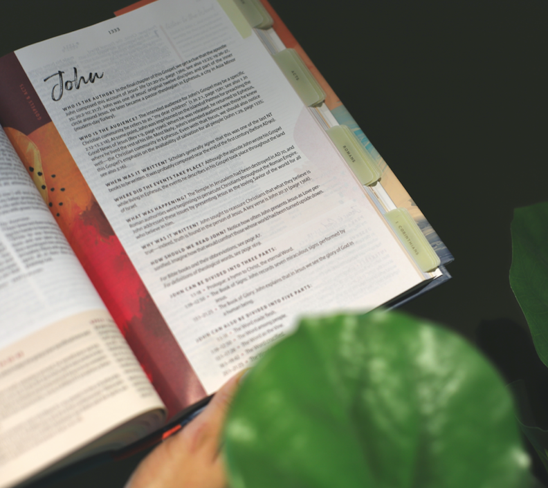 Journaling Bible & Tabs