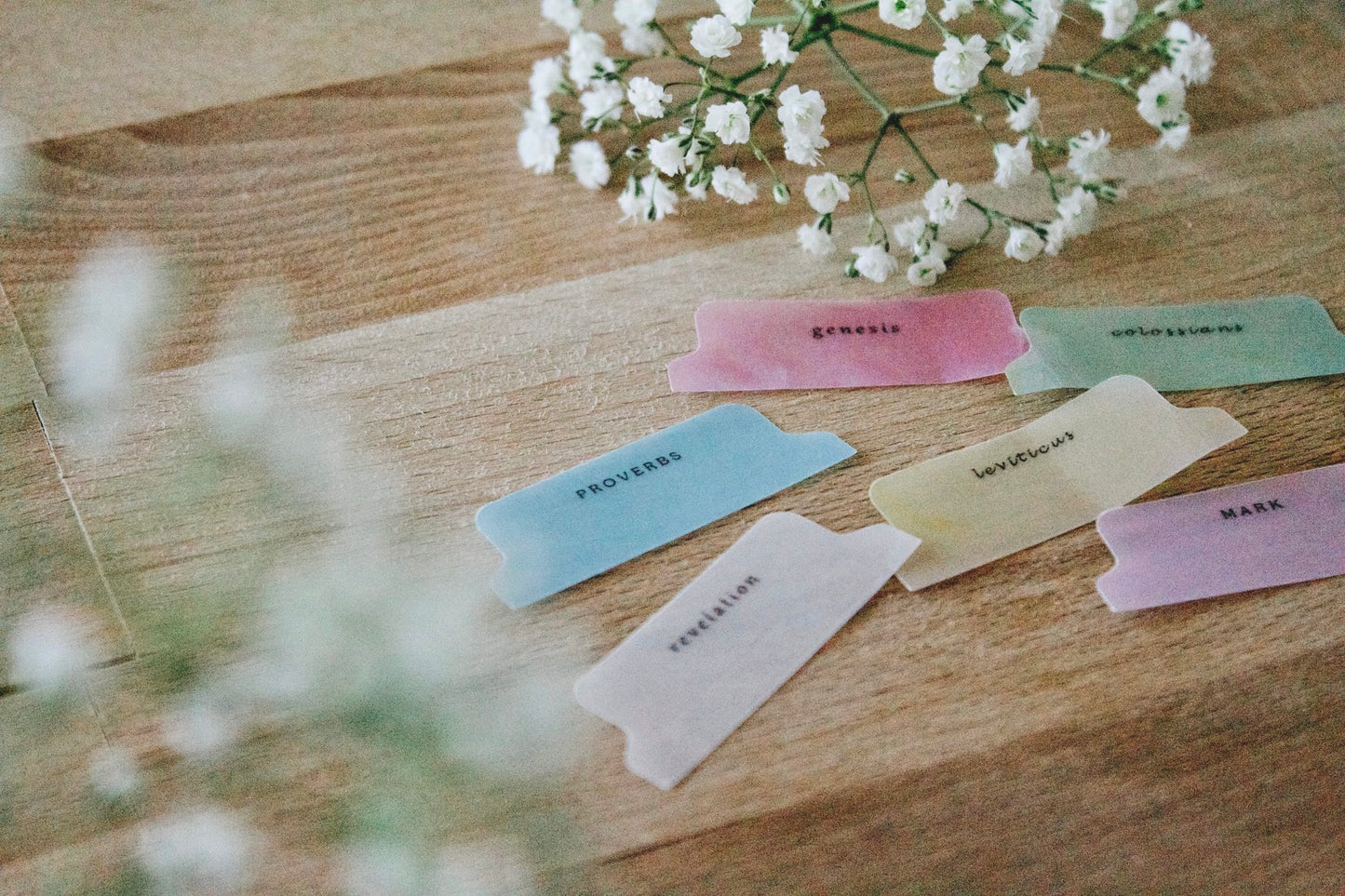 Minimalistic Bible Tabs